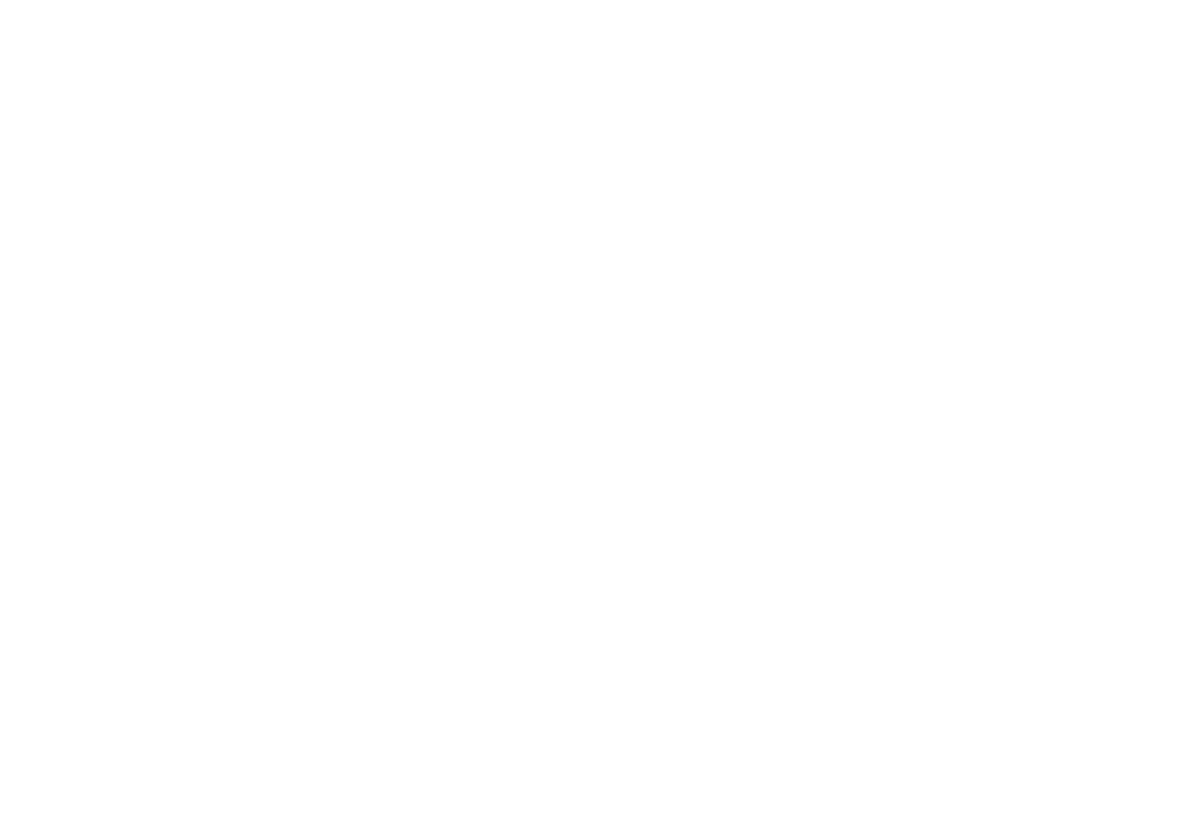 Klassisches Waffenkammer Rothenburg Logo weiß