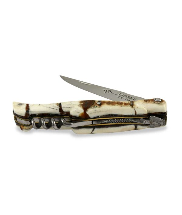 Rückenansicht des Arbalete Laguiole Taschenmessers von G. David mit Griff aus Mammut Backenzahn.